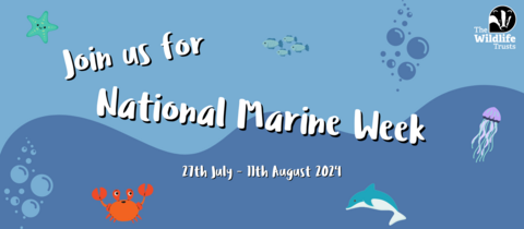 National Marine Week 2024