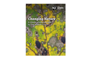 changing nature report