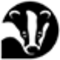 badger pin