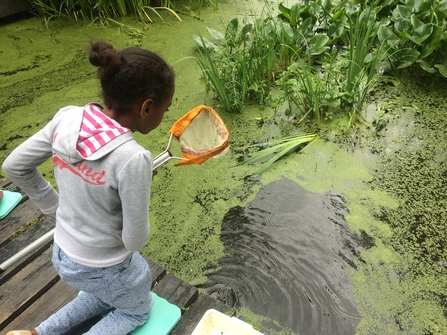 Girl pond dipping