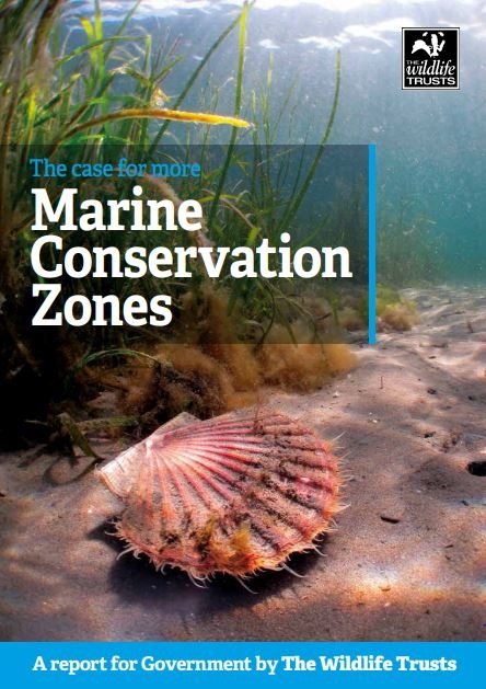 The case for marine conservation zones cover