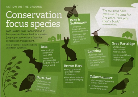 JFP Conservation Focus Species actions