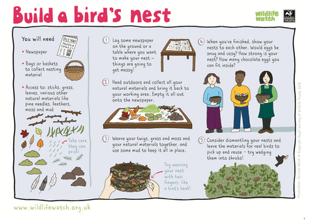 Build a bird's nest activity sheet