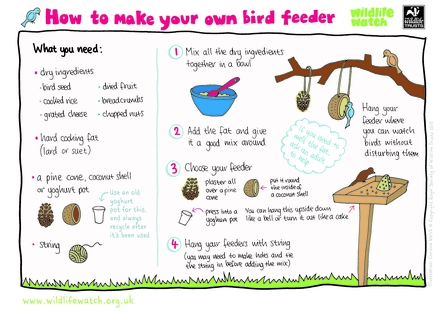 How to make a bird feeder activity sheet