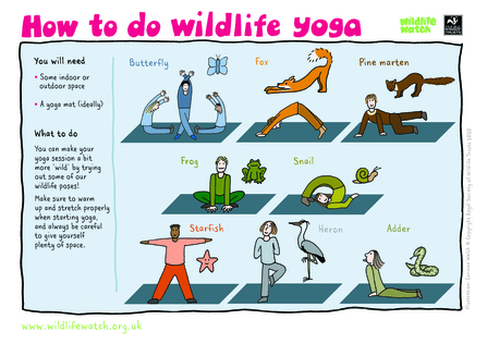 Wildlife themed yoga activity sheet