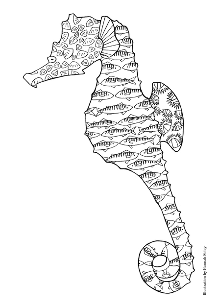 Seahorse colouring in sheet