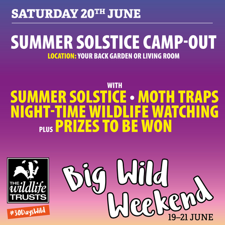 Big Wild Weekend - camp-out