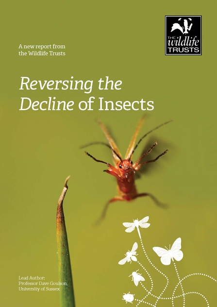 Front cover of the Reversing the Decline of Insects report