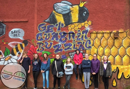Get Cumbria Buzzing mural