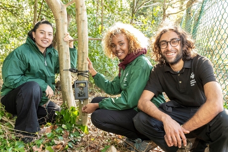 Three members of staff from London Wildlife Trust carrying out work in a woodland scenery.