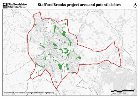 Stafford Brooks project area