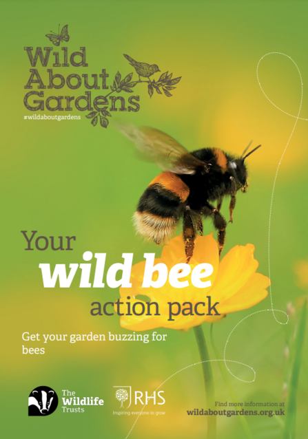 WAG Bees front cover