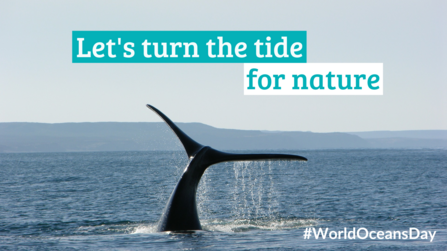 Let's turn the tide for nature