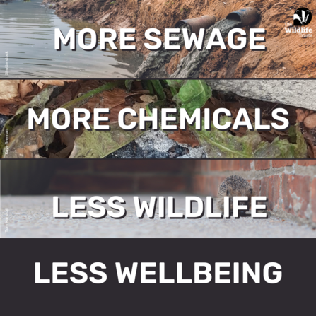 More sewage more chemicals, less wildlife less wellbeing