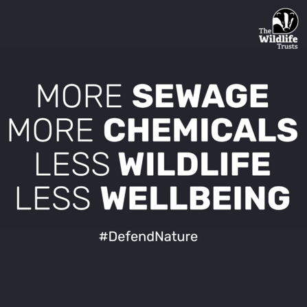 More sewage more chemicals, less wildlife less wellbeing