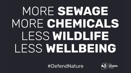 More sewage, more chemicals, less wildlife, less wellbeing