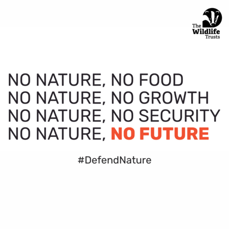 No nature, no food. No nature, no growth. No nature, no security. No nature, no future.