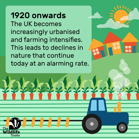 1920s - UK farming becomes increasingly urbanised