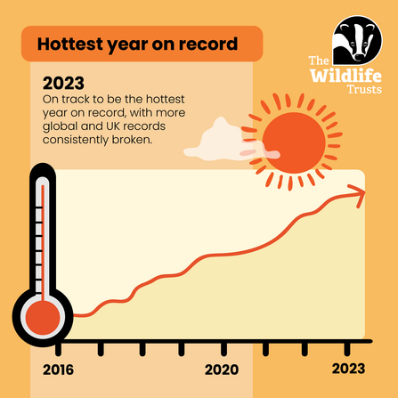 2023 - UK hottest year on record
