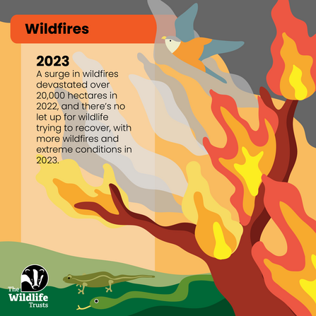 Wildfires 2023 UK