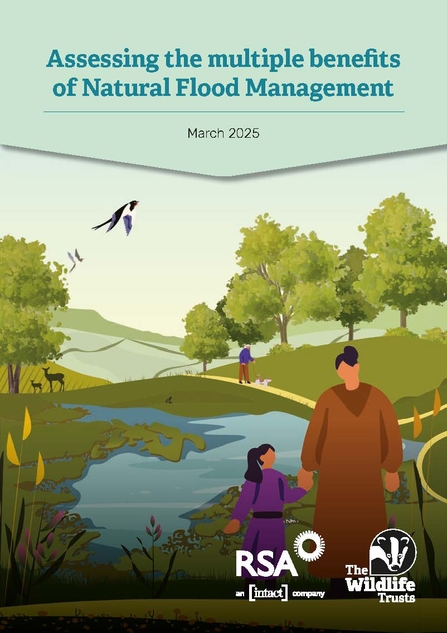 An illustration of a woman and girl hand-in-hand walking down a path, with a wetland behind them, a swallow flying overhead and trees and fields. Text reads Assessing the multiple benefits of Natural Flood Management. March 2025