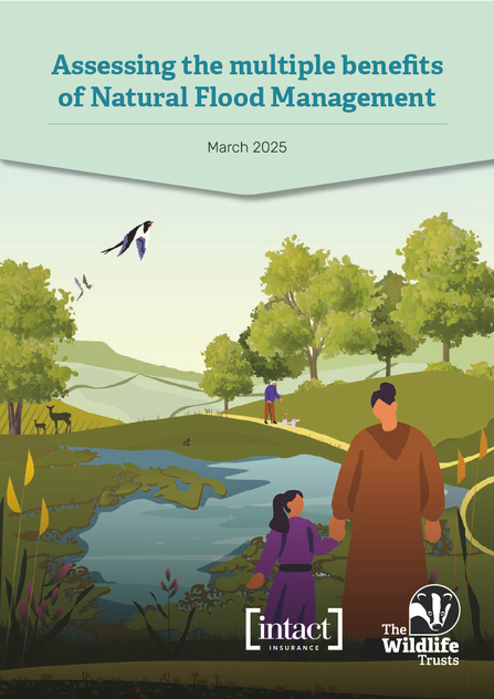 Assessing the Multiple Benefits of Natural Flood Management Report Cover