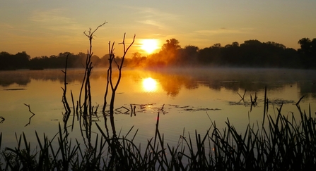 Sun setting over wetlands