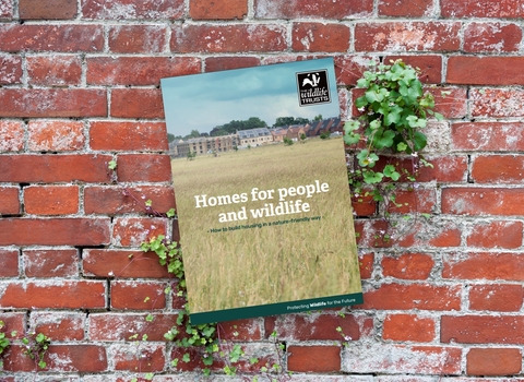Homes for people and wildlife