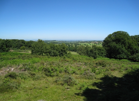 An image on top of a hill at Charnwood Forest overlooking greenery and the blue sky