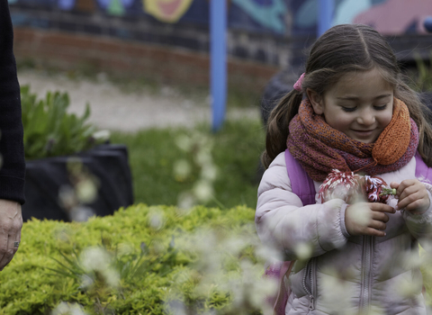 A small girl is looking at colourful flowers in her hands and smiling