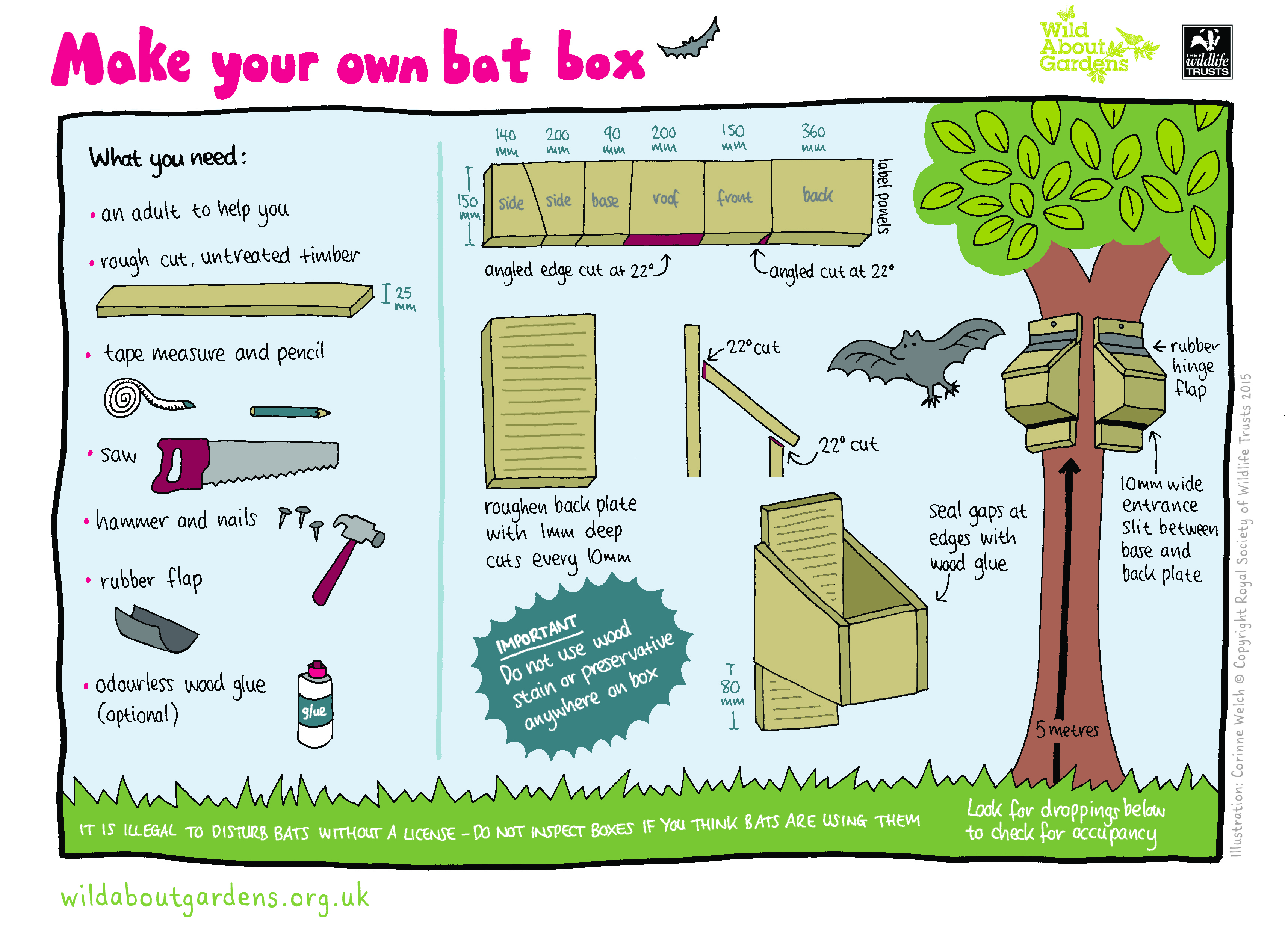 How to build a bat box The Wildlife Trusts
