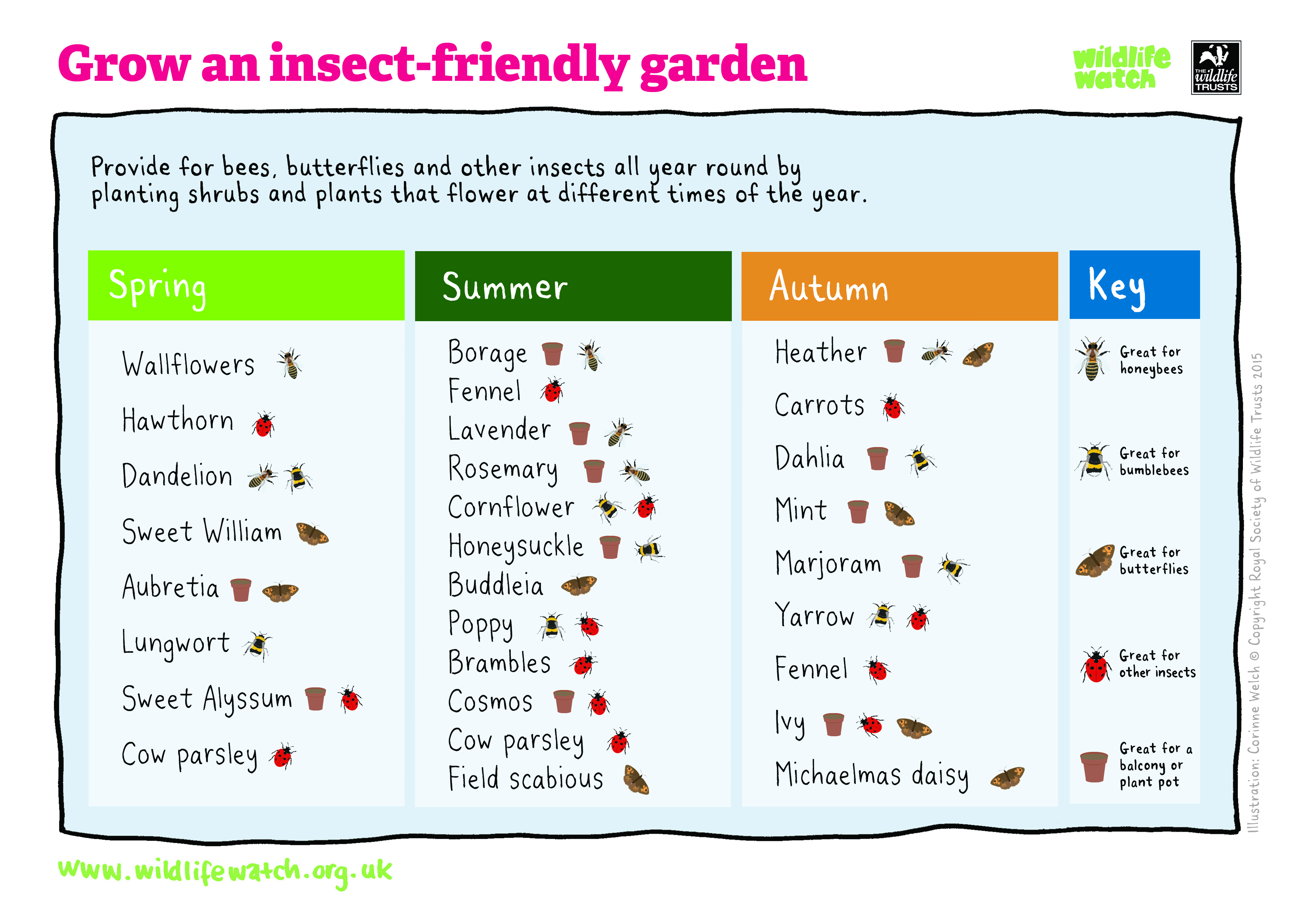 Садење градина со инсекти