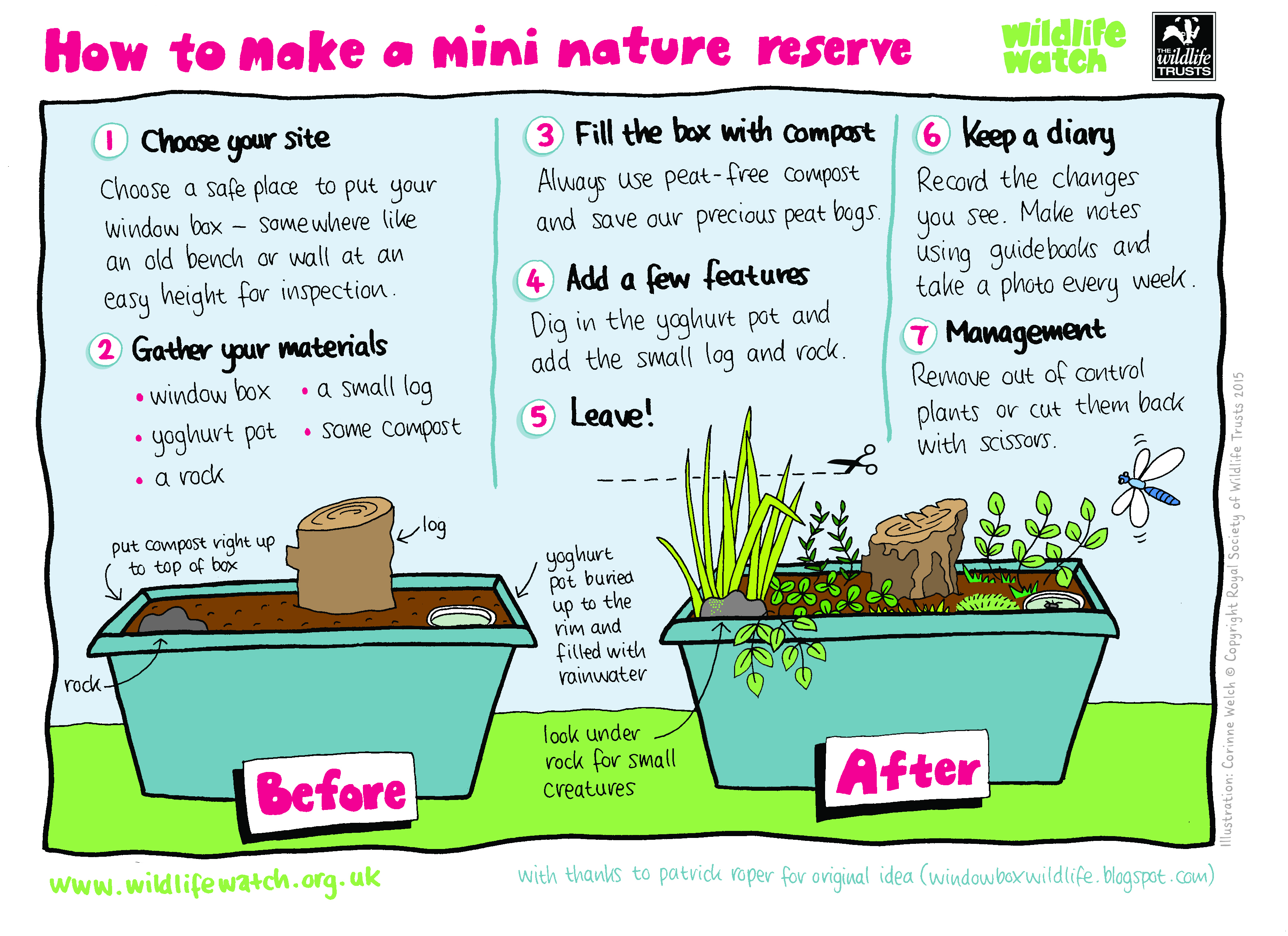 https://www.wildlifetrusts.org/sites/default/files/2020-03/MINI-NATURE-RESERVE_1.jpg