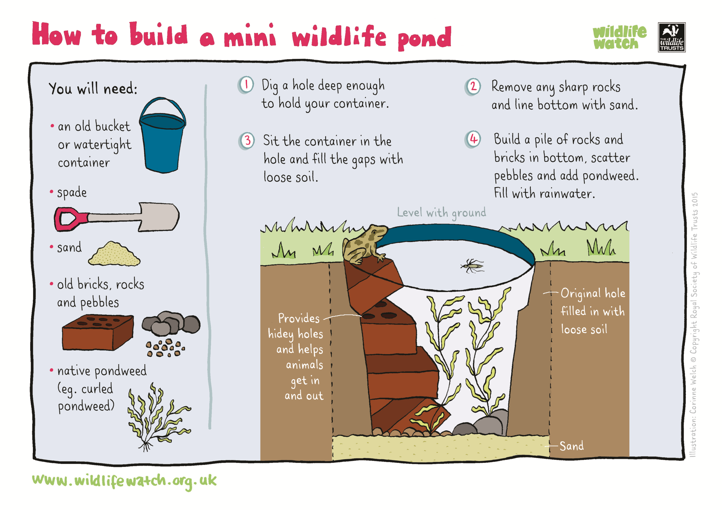 https://www.wildlifetrusts.org/sites/default/files/2020-03/MINI-WILDLIFE-POND.png