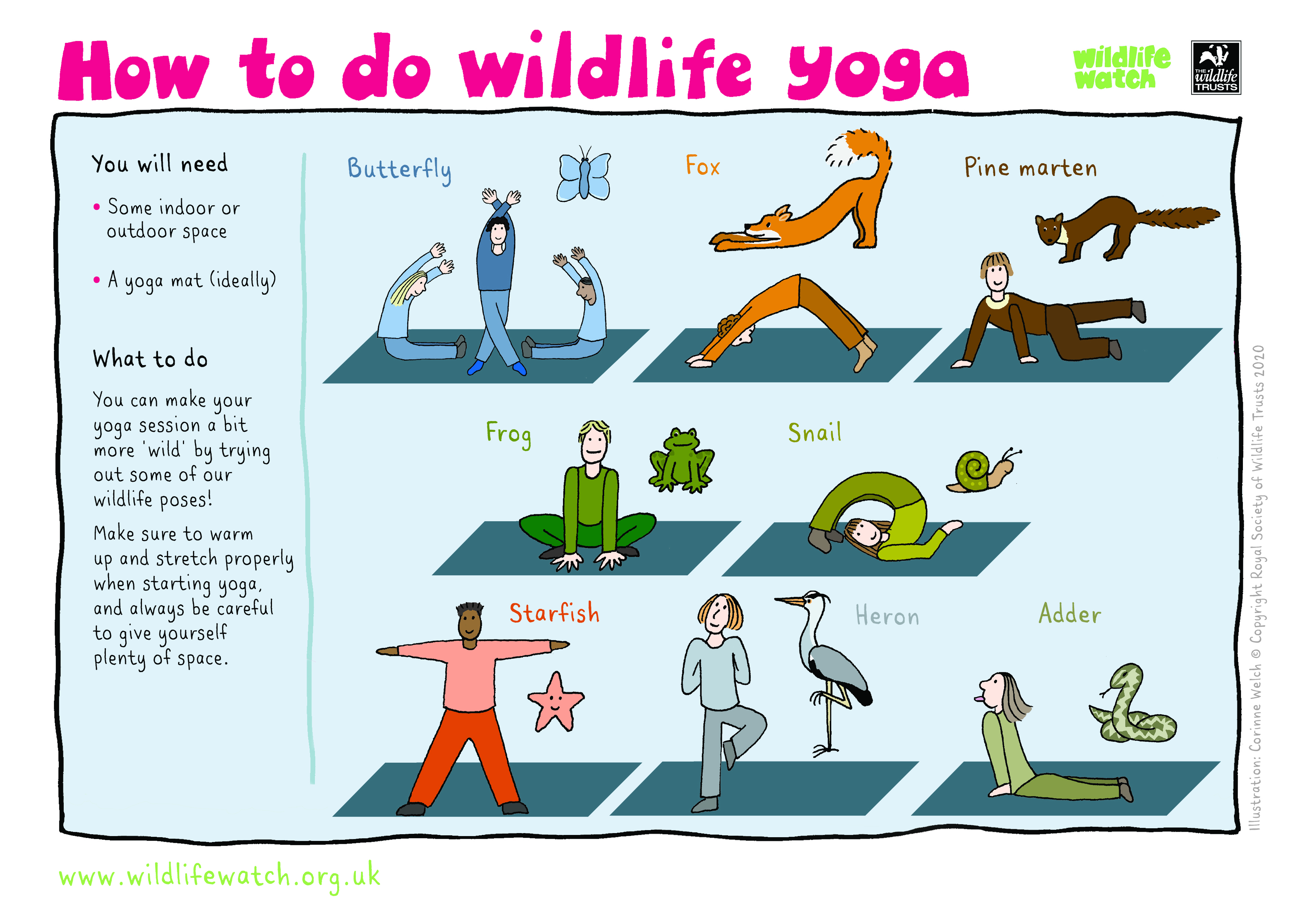 https://www.wildlifetrusts.org/sites/default/files/2020-03/WT-WILDLIFE-YOGA.jpg