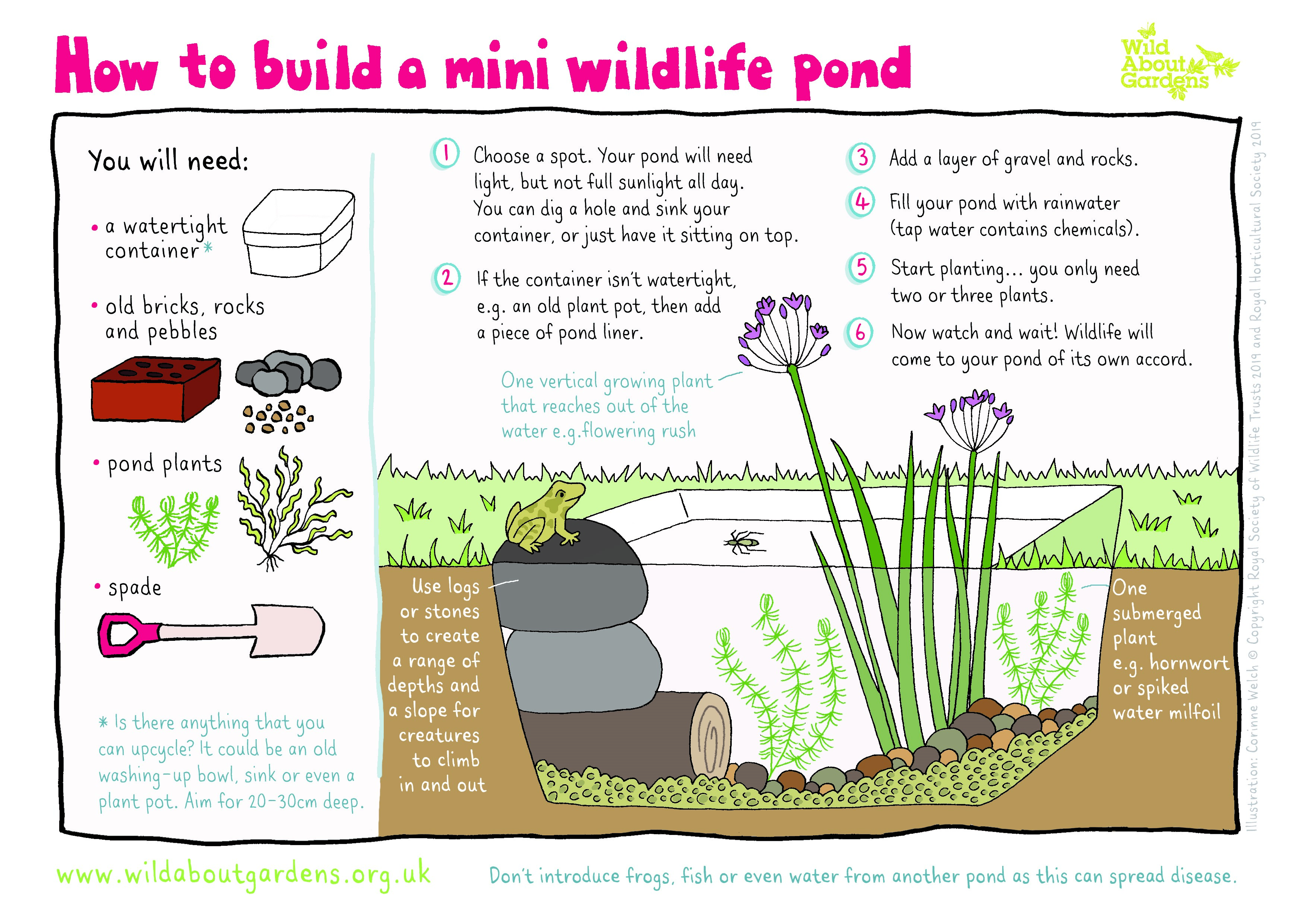 How To Create A Mini Pond The, How To Make A Small Garden Pond Uk