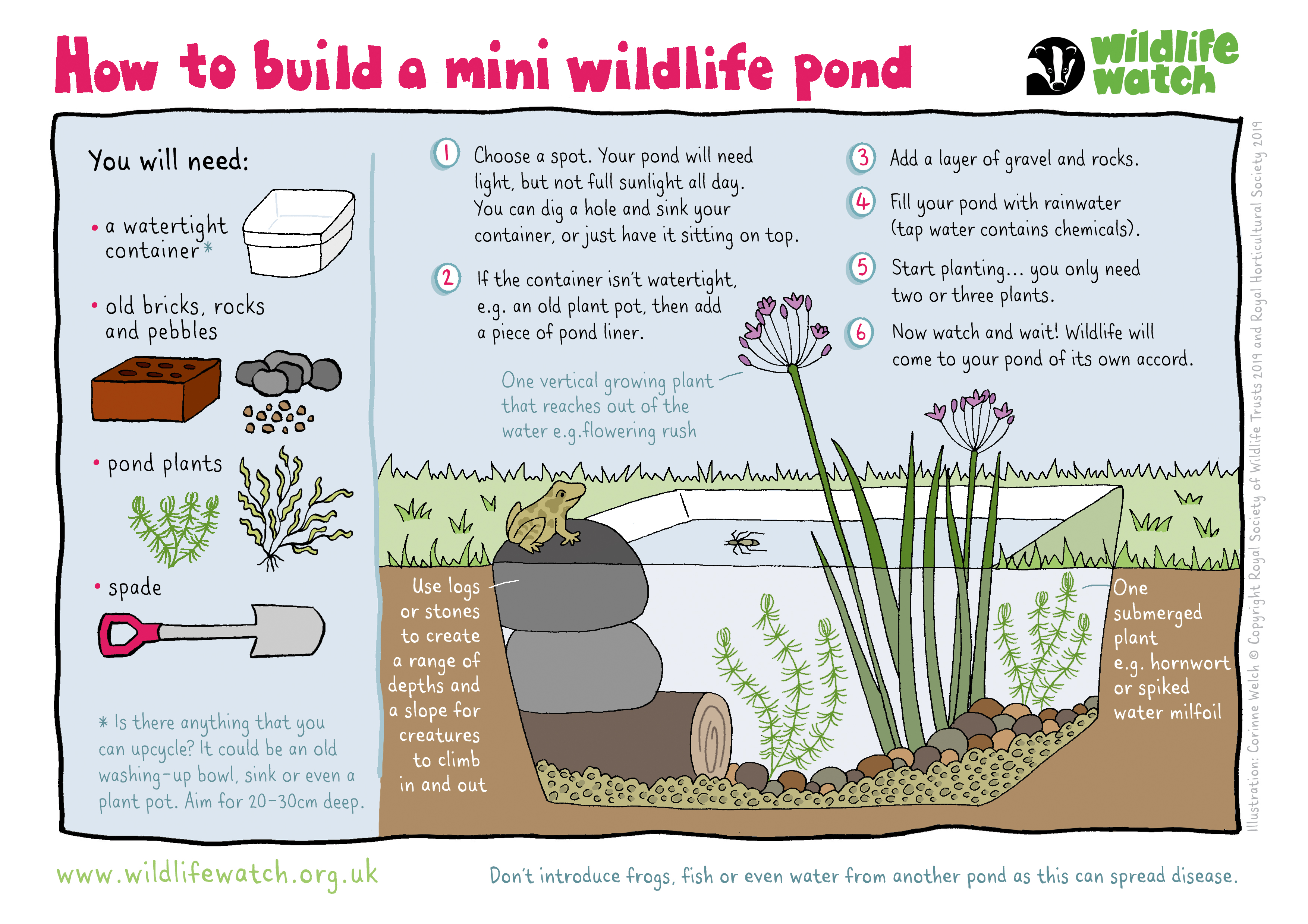 How to create a mini pond | The Wildlife Trusts