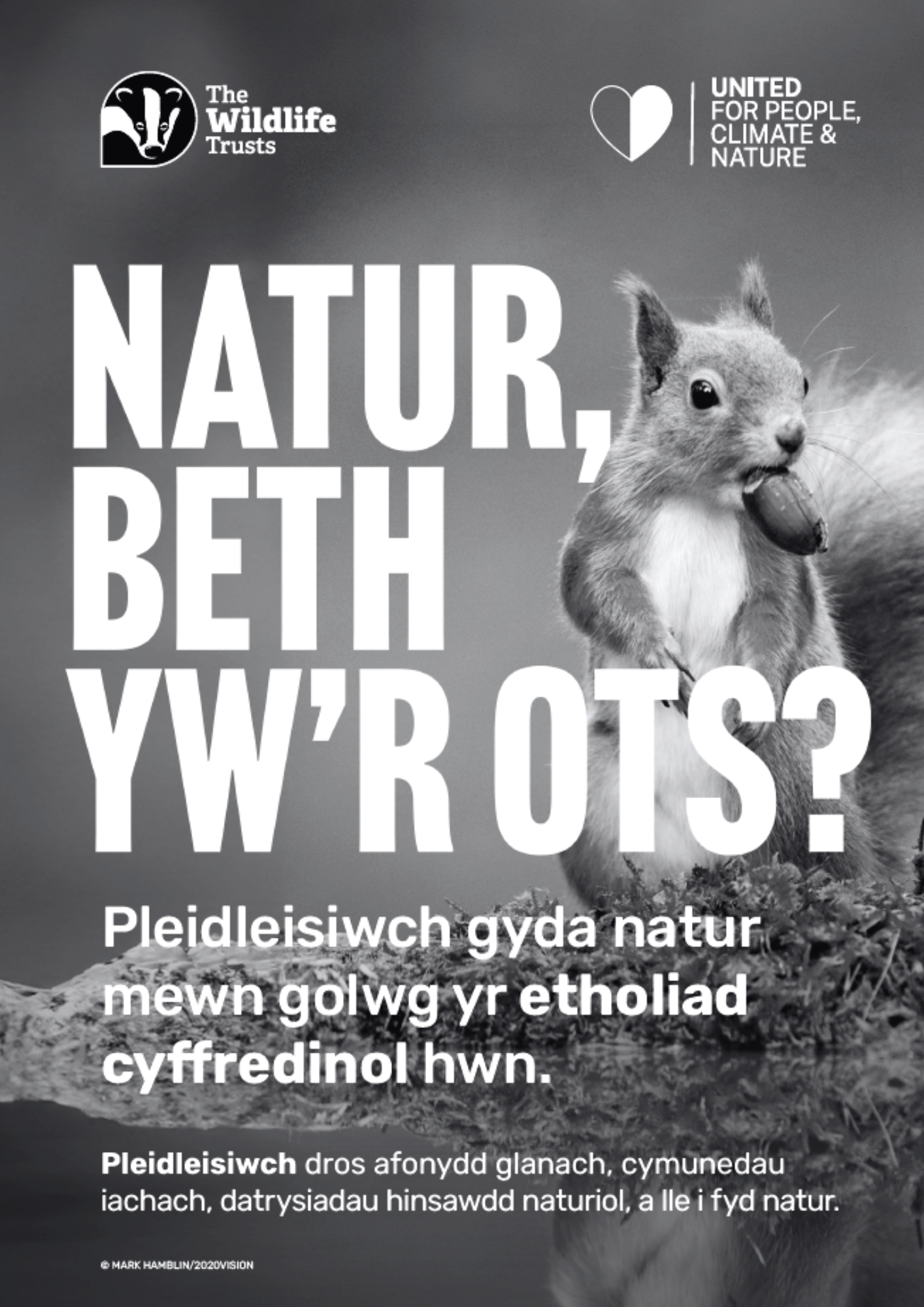 General Election Poster Squirrel black and white welsh