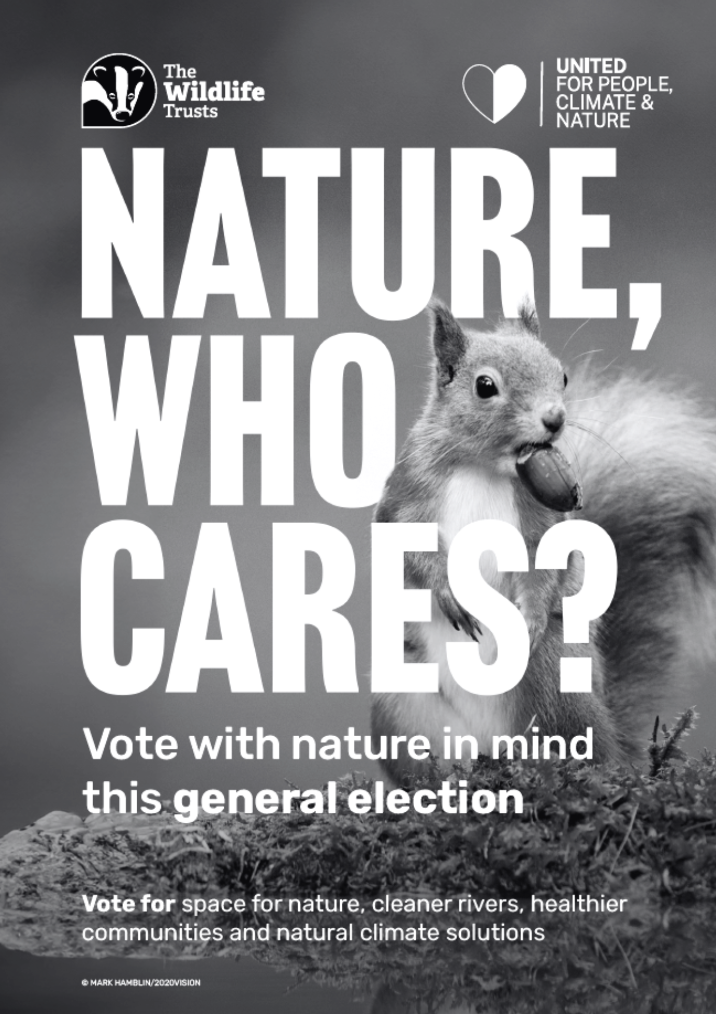 General Election Poster Squirrel black and white english