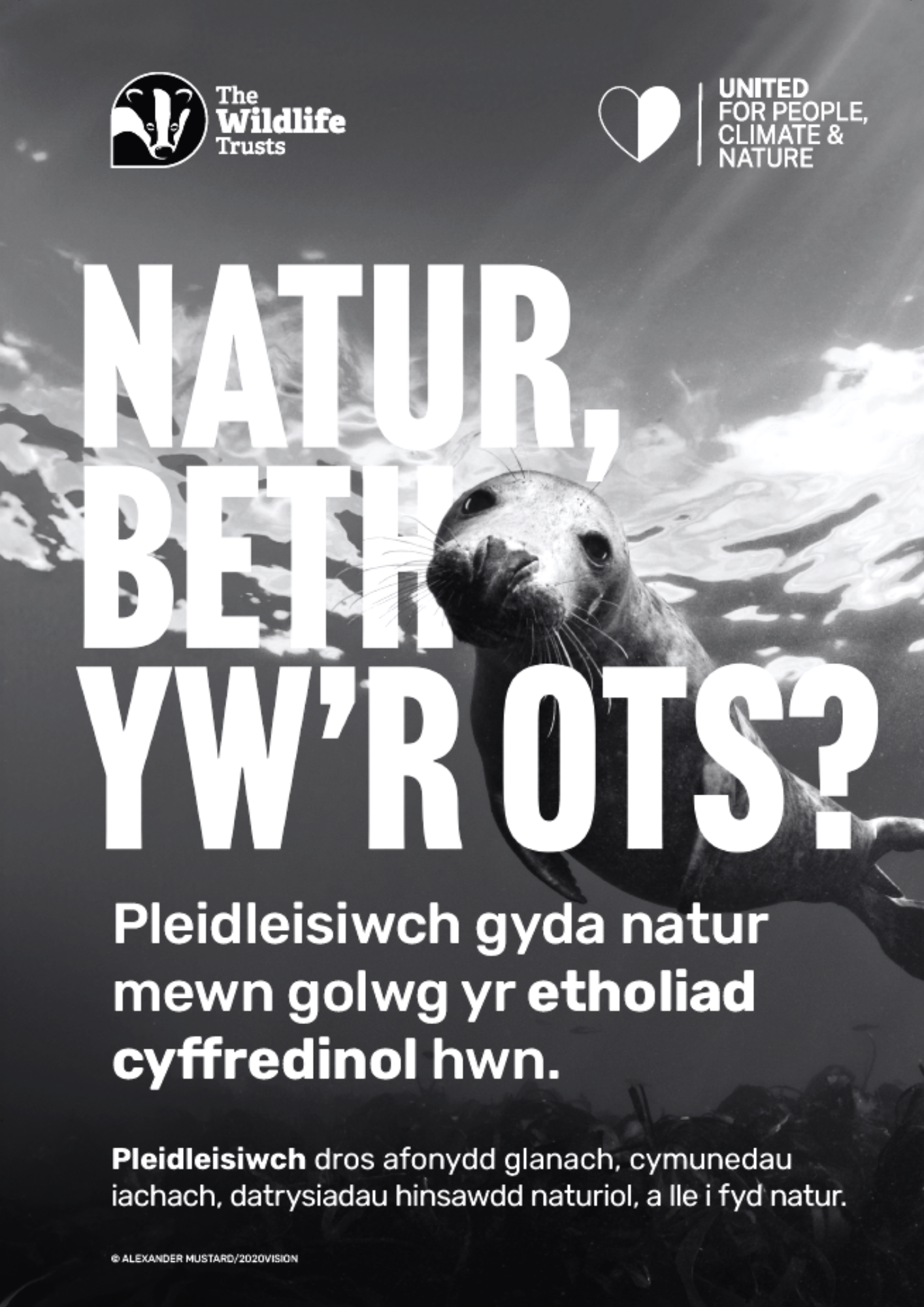 General Election poster seal black and white welsh