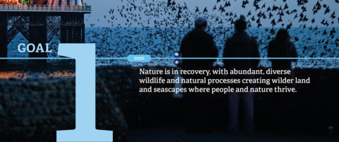 Nature in recovery