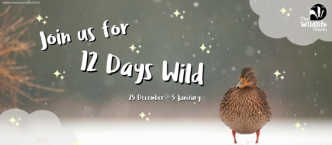 Join us for 12 Days Wild