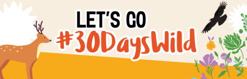 Let's go 30 Days Wild 2024