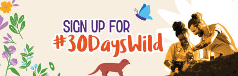 Sign up for 30 Days Wild 2024