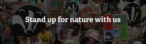 A large group of people on a march for nature, carrying lots of different signs including large Wildlife Trust logo signs. Text reads Stand up for nature with us