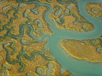 Saltmarsh from the air, The Wildlife Trusts