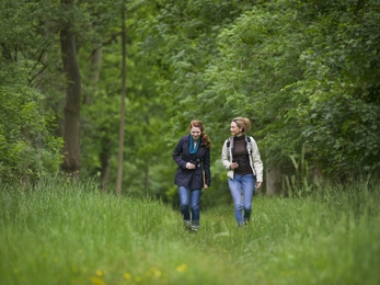 wild walk people