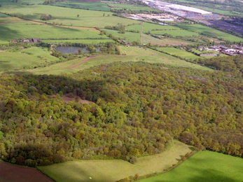 Ryton Wood and Ryton Pool 