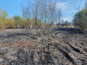 Potteric Carr nature reserve fire damage