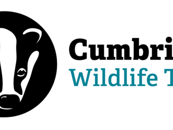 Cumbria Wildlife Trust logo